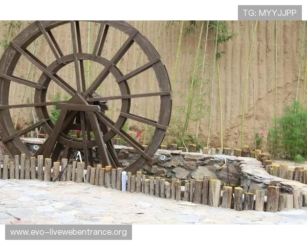 OD真人游戏玩法详解,提升你的娱乐体验与互动乐趣 OD真人游戏玩法详解,提升你的娱乐体验与互动乐趣