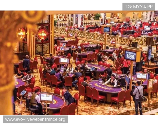 提升百家乐游戏技巧的实用策略与规则理解帮助玩家稳步赢取更多筹码