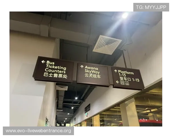 马来西亚云顶官方网址2024年最新版本下载与使用技巧